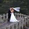 Wedding candid